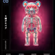 X Ray Gummy Bear