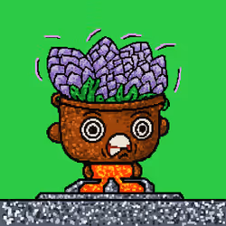 CookinPan #8