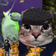 43