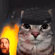64