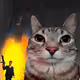 94
