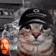 53
