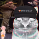 67