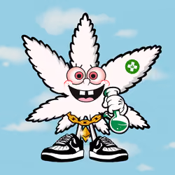 260