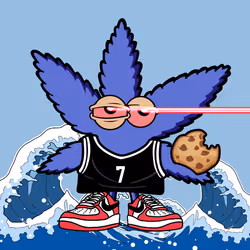 860
