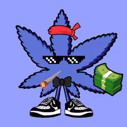 339