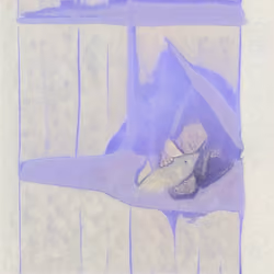 A233