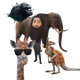 101080351602322191869954224333326715948241956732994405984989098018983800471554