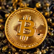 Free BITCOIN Daily!