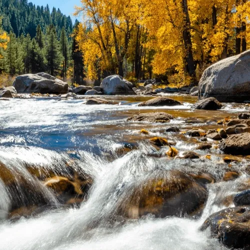 Truckee River In Autumn