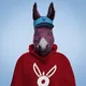 Donkey King