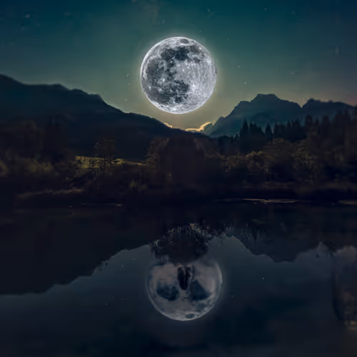 Rarible