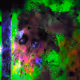 5404584240031666855131952294514283488784424423616293874524168722894163017729