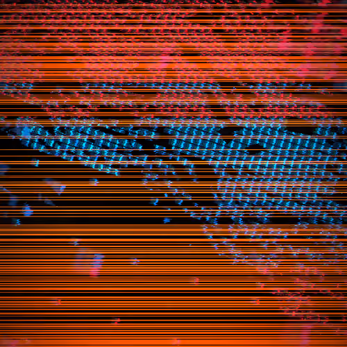 ROWHAMMER