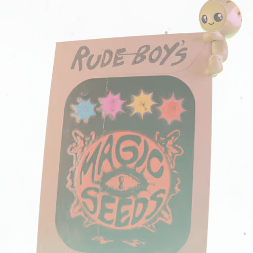 Rude Boy S Magic Seeds