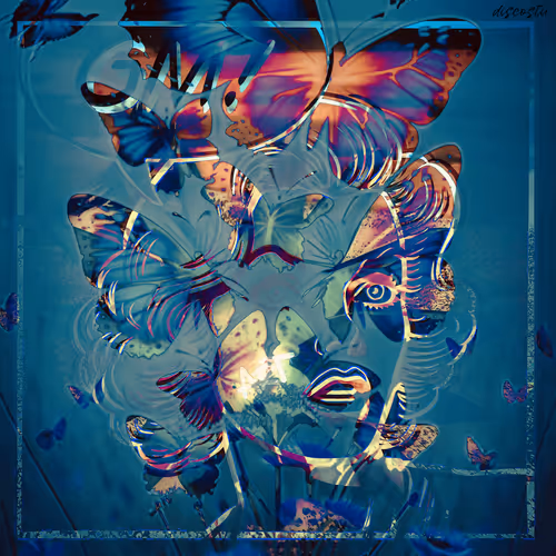 The Art Of Disco 1