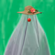 686