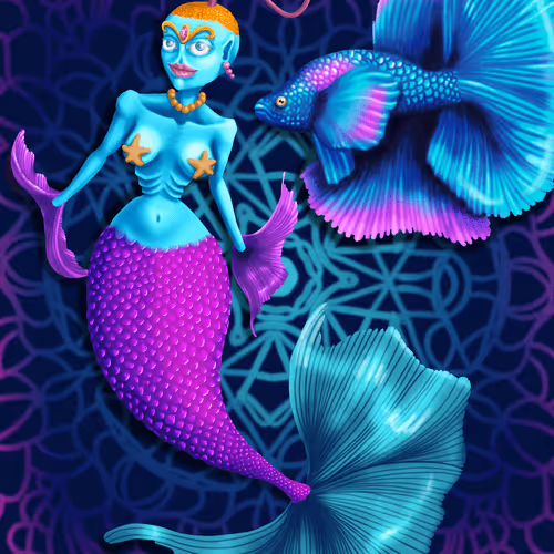 Betta Queen And Her Follower