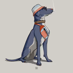 Suss Dog