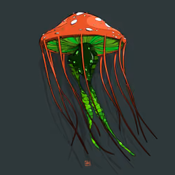 Psilocybin Scyphozoa