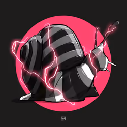 Snail