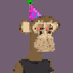 DOS APES #1343