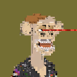2624