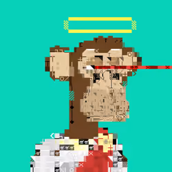 DOS APES #4792