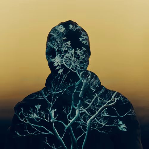 Auras #2660