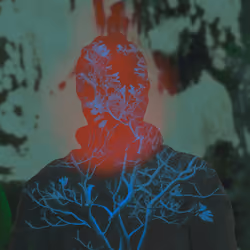 Auras #2706