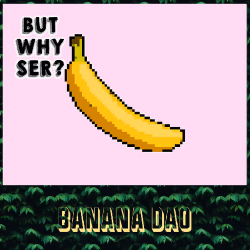 BananaDAO #64