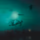 Flying Beasts