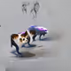 Athena's Concept: Cats
