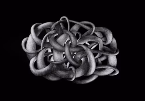 Entangled  #13/50