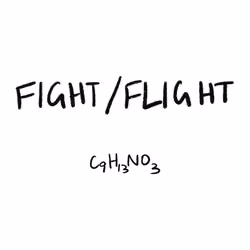 2797
