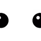 The eyes of the visionary