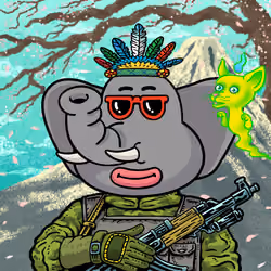 Jungle Class #1167