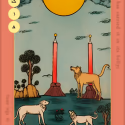 Pentacle Tarot #337