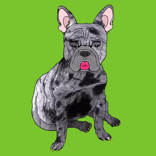 BlingDogz #40