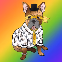 BlingDogz #30