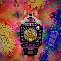 Shibaku 853