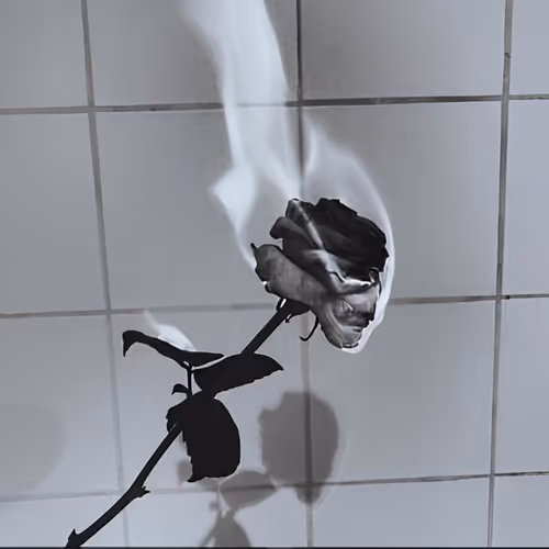 La Vie En Noir Et Blance