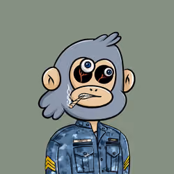 Proof of Monke #1323