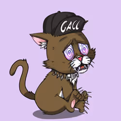 Kitten #1122