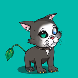 Kitten #552