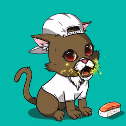 Kitten #438