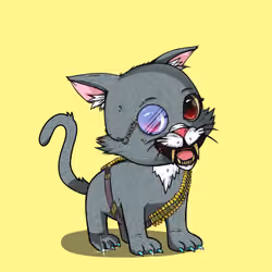Kitten #765