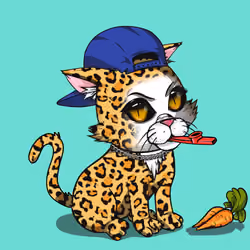 Kitten #458