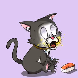 Kitten #1305