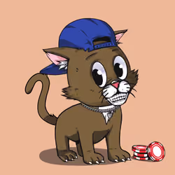 Kitten #885